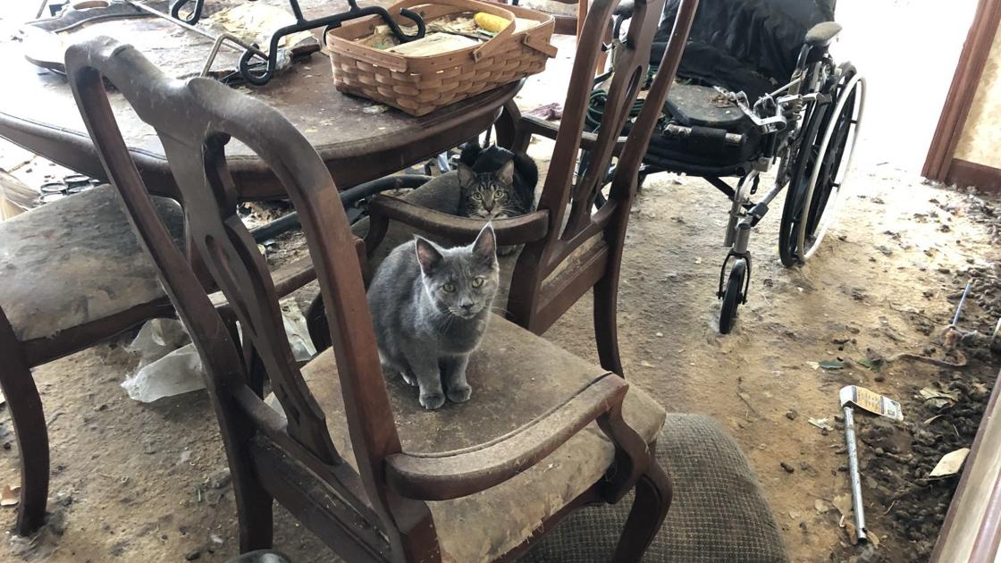 hoarder journaltimes