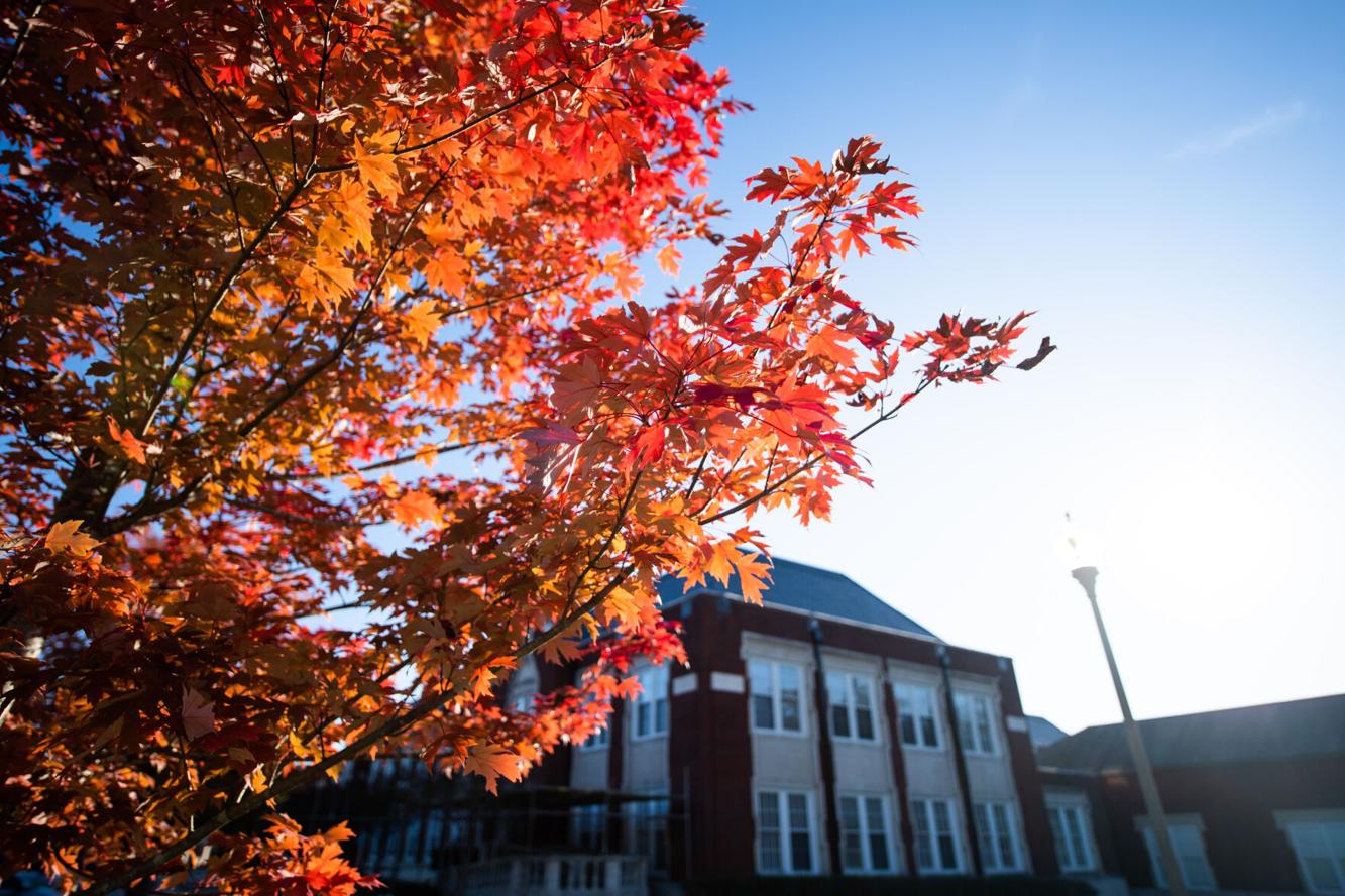 Fall breaks return Fall 2024 News