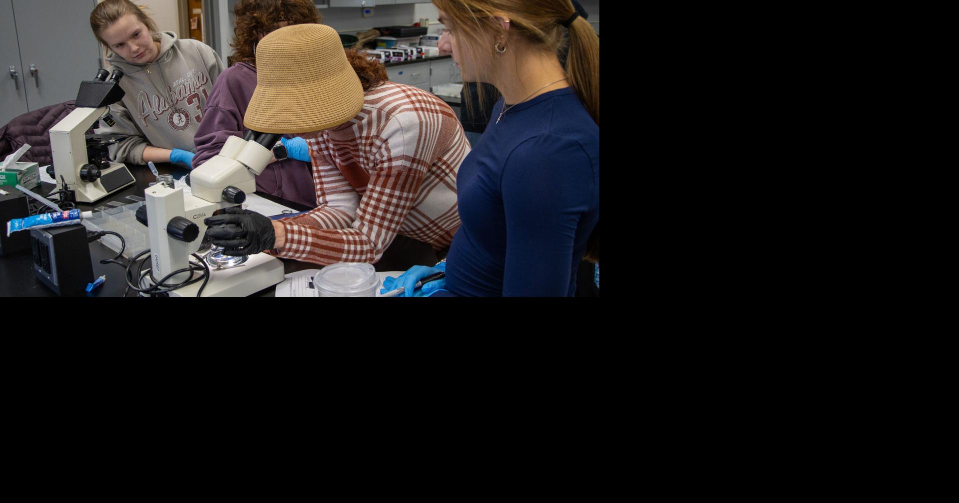 The Crow: Jax State Signage, AmFirst, Merrill Cafe Hours and Ecology Snail Lab