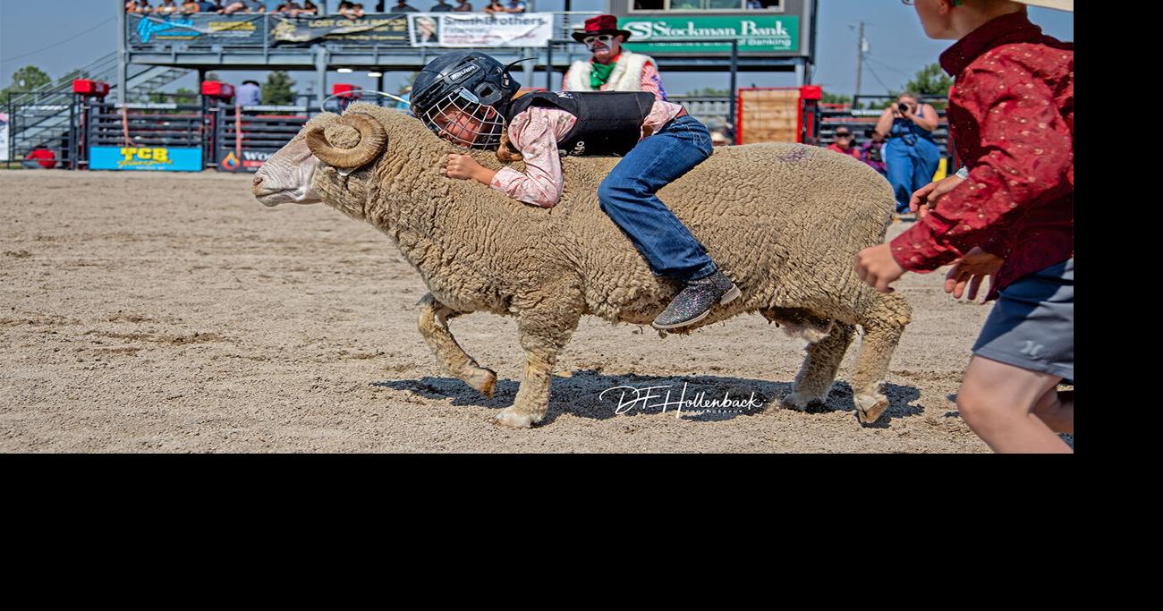 Sheep Thrills: Hobson's Layne Sturm, Champ Mutton Buster