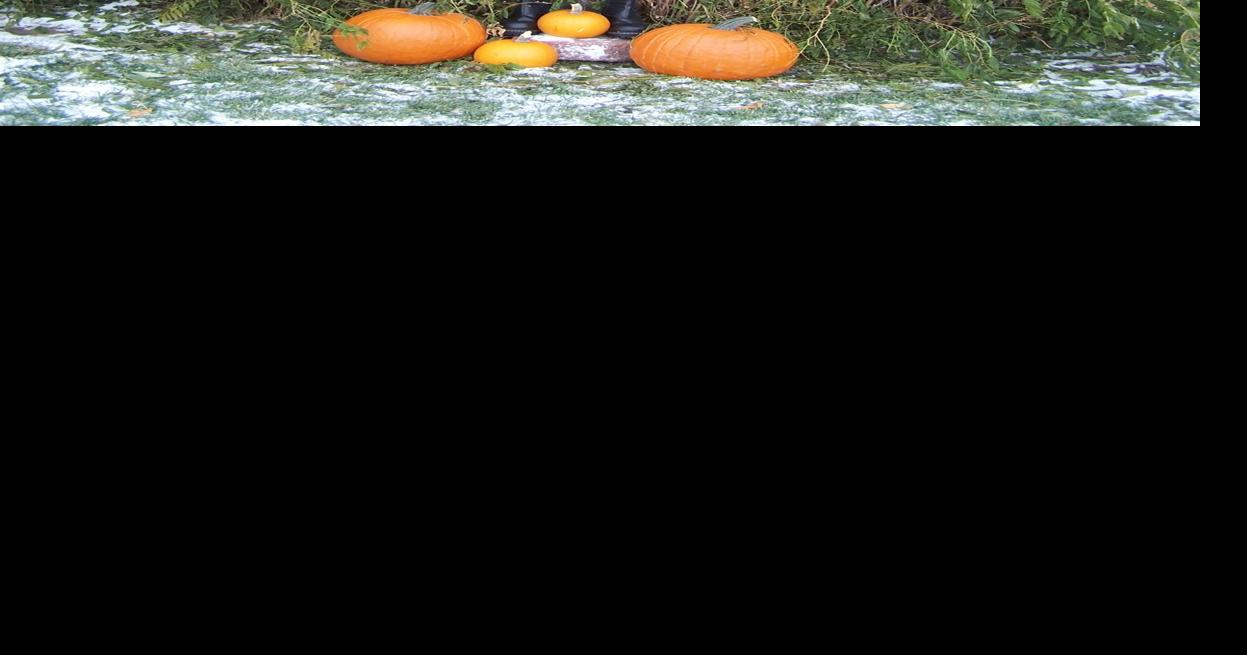 A Walk Down Scarecrow Lane News