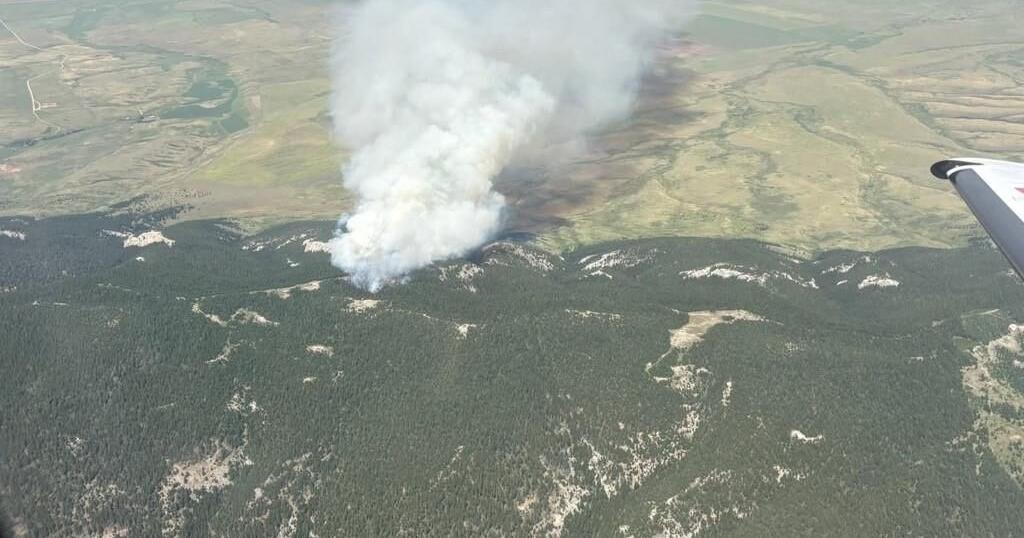 Progress made on Twin sisters fire north of Judith Gap