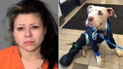 Woman sentenced to probation for throwing puppy from vehicle ...