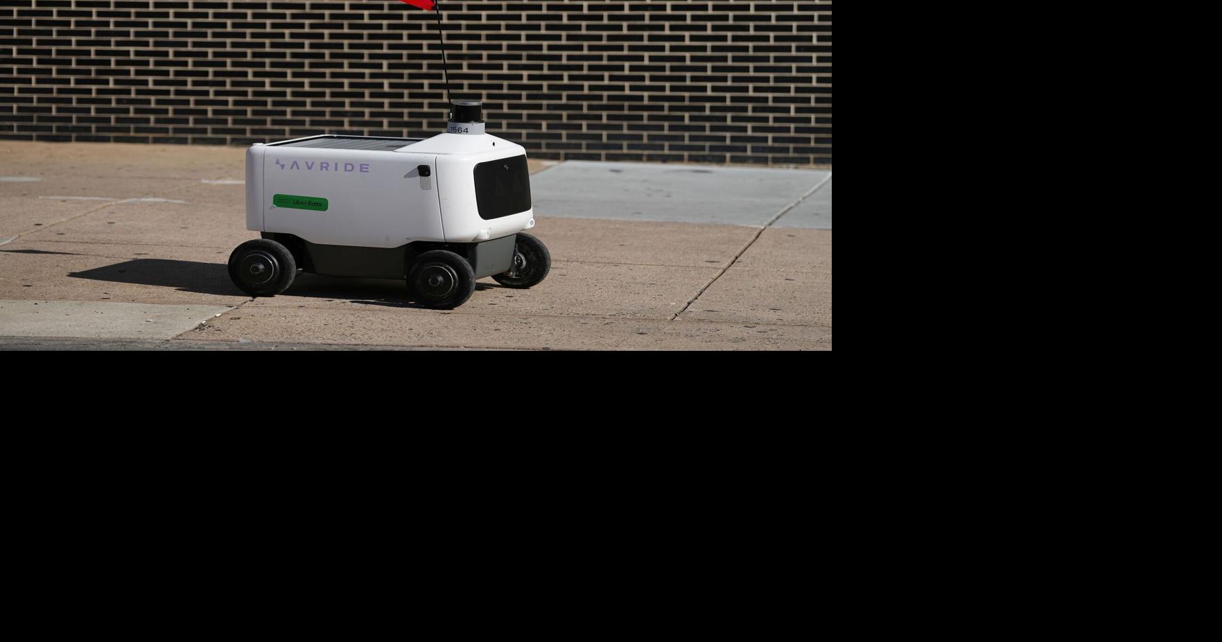 This retired professor was arrested for blocking a delivery robot. She says she'll do it again