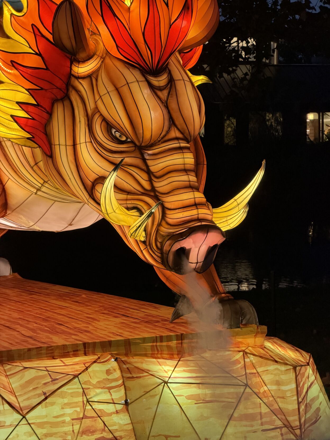TAKさま専用　イルミネーション　しか Sneak Peek: Wild Lights 2025 at Sedgwick County Zoo | Trusted News