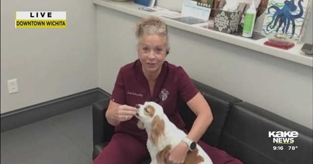 Wichita Pet Wellness | Video | kake.com