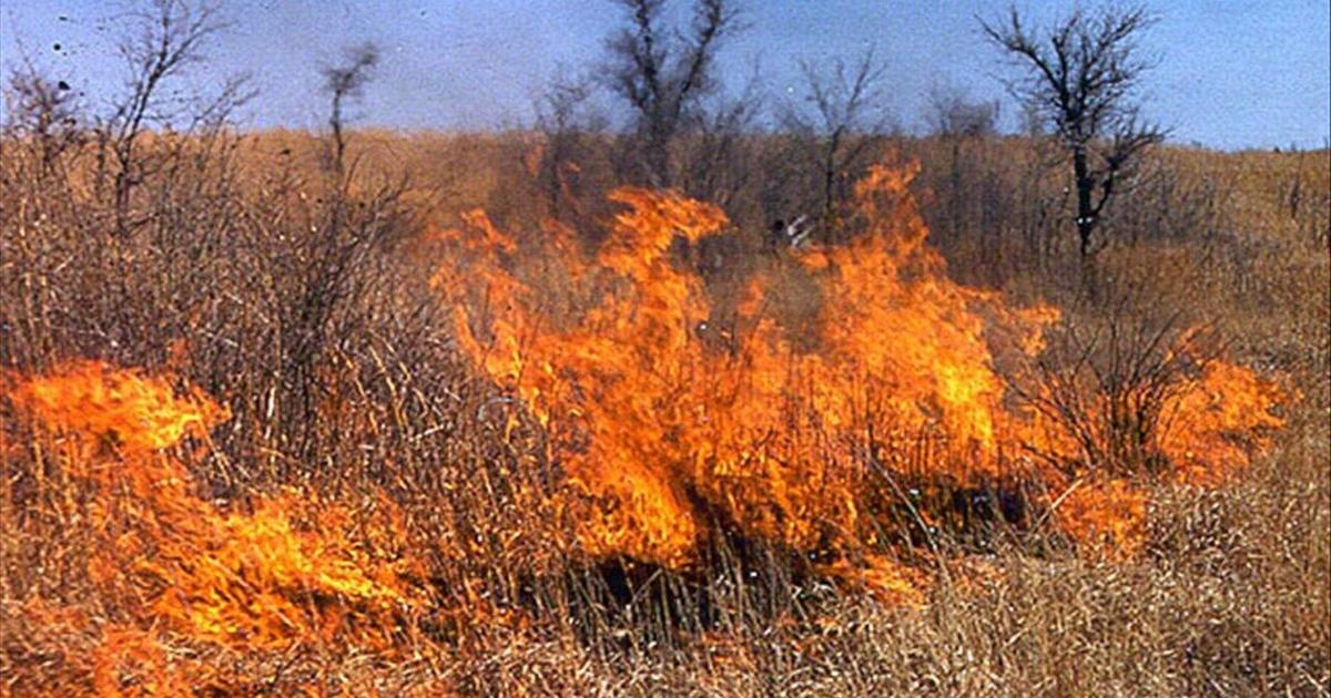 Grass Rfire Crews fight grass fire in El Dorado | Stories | kake.com