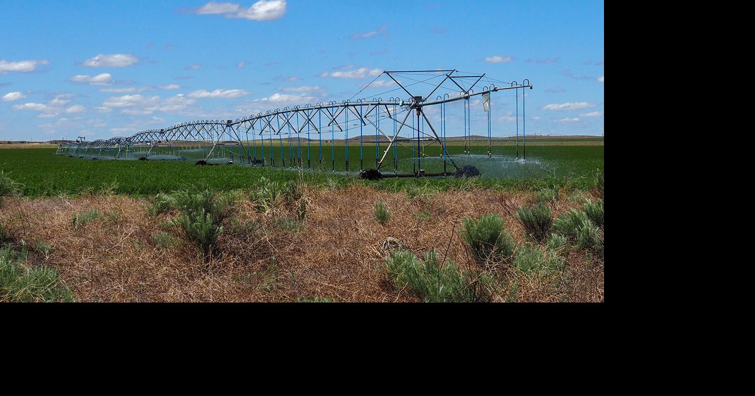 Kansas farmers suffer from tariffs and closing of Strait of Hormuz, ag experts say