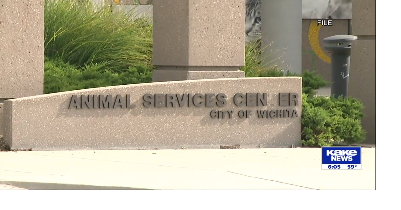 Wichita animal rescue groups say lack of money is leading to more pet ...
