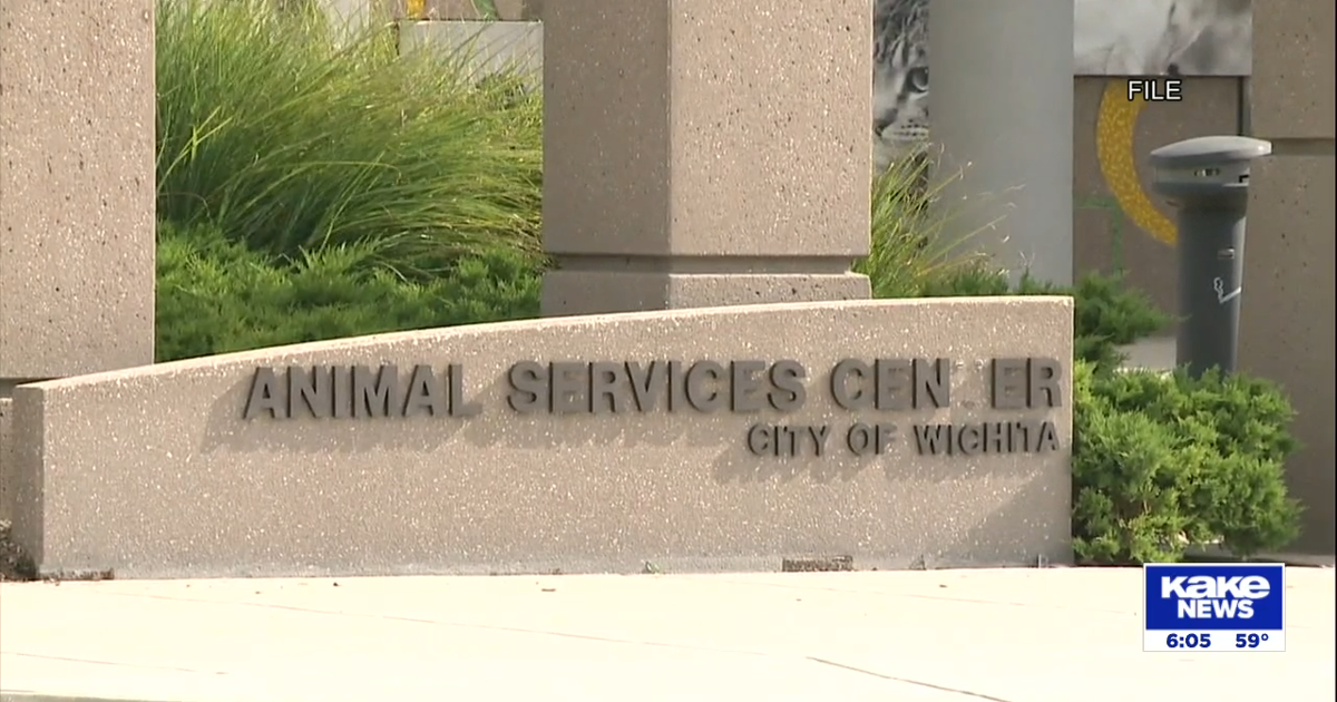 Wichita Rescue Wichita animal rescue groups say lack of money is leading to more pet ...