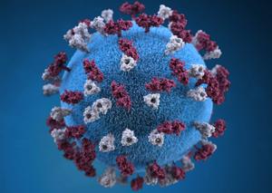 Kansas Reports Increase in Measles Cases to Five