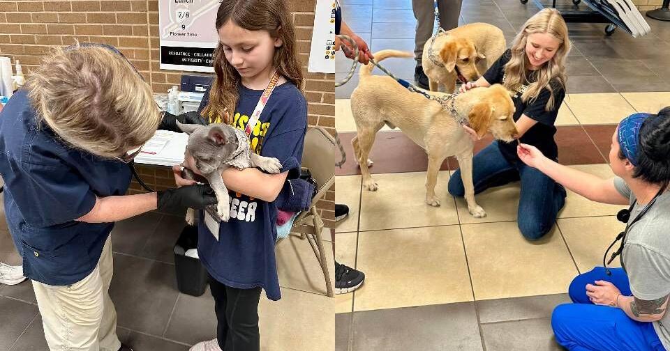 Kansas Humane Society to host free microchip and vaccine clinic
