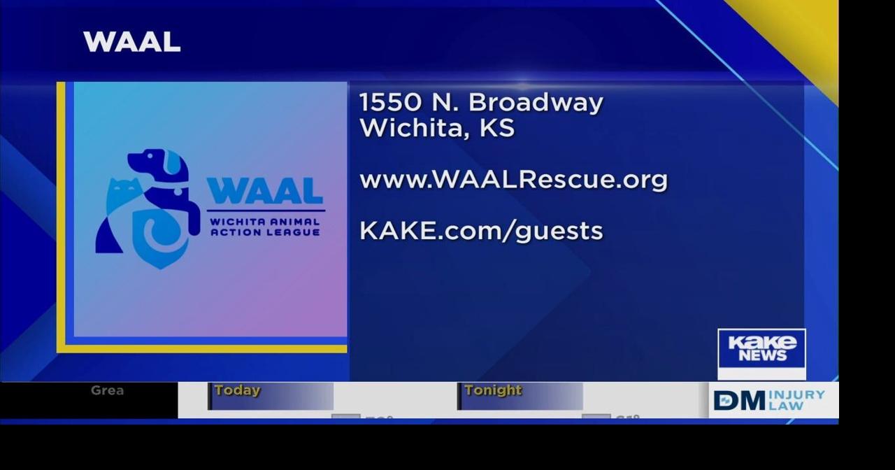 Wichita Animal Action League | KAKE Guests | kake.com