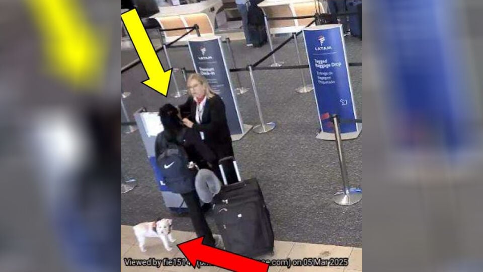 Woman told she couldn't take her dog on flight so she drowned it in ...
