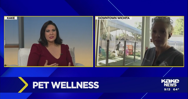 Wichita Pet Wellness | Video | kake.com