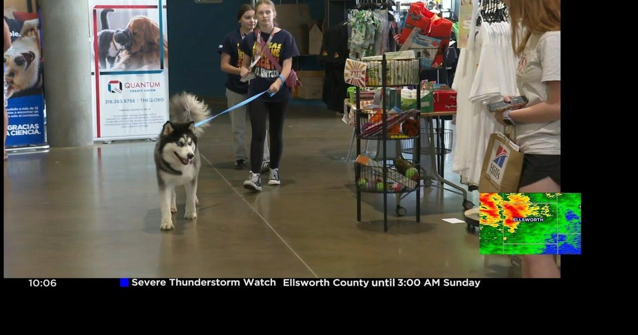 Pet adoptions soar after Kansas Humane Society issues urgent plea to avoid euthanizations