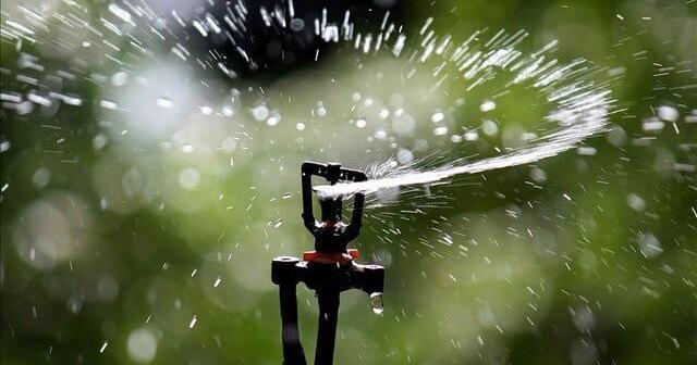 Budget water restrictions and Delano consumption area on docket for