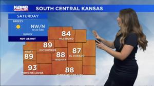 Forecast - South-Central 08-01-2026