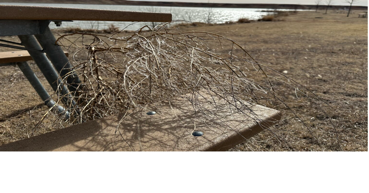 One dead after drowning in a western Kansas reservoir: Sheriff