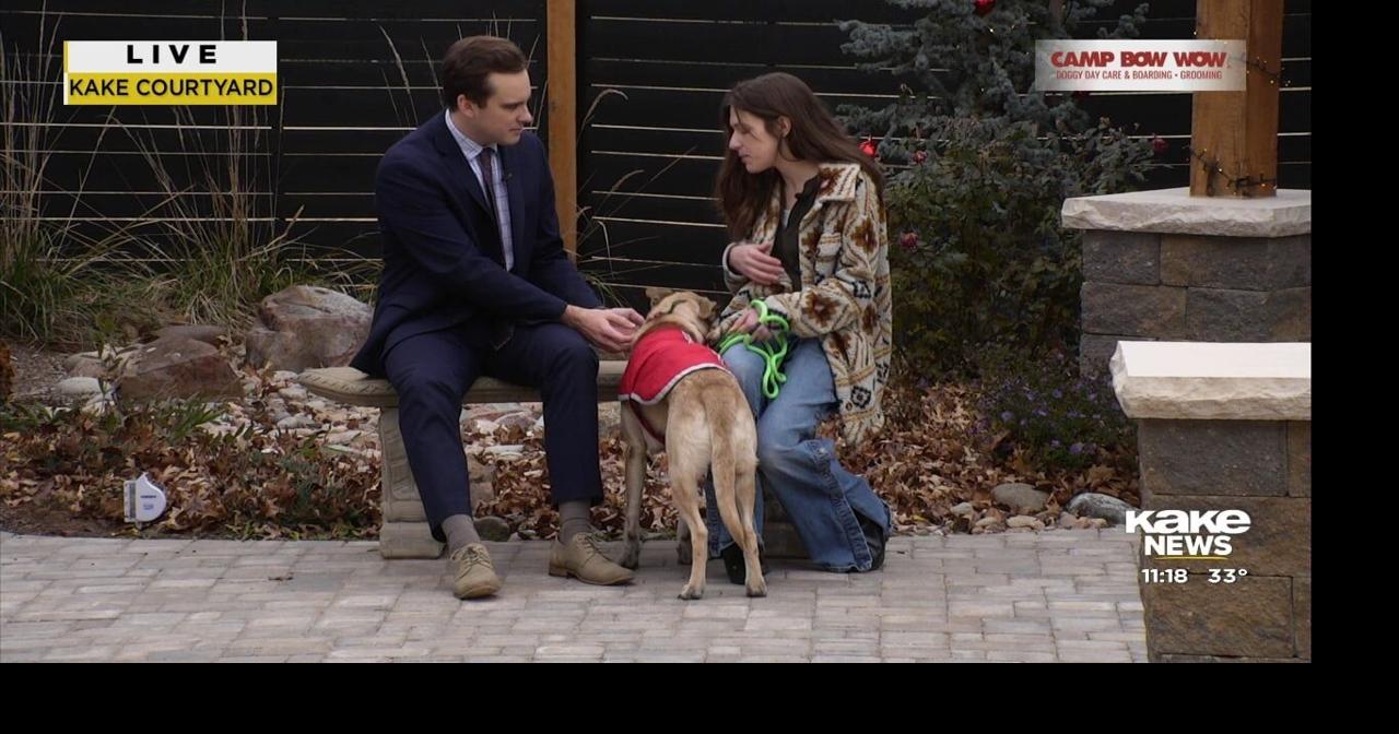 Pet Pals: Meet Layla! | Video | kake.com