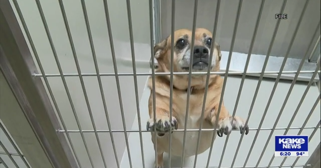 Wichita Rescue New animal shelter opening in Wichita on October 11 | Trusted News ...