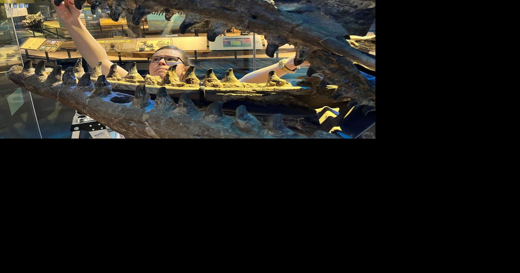 Massive marine predator crowned T. rex of the ocean and ‘a true terror ...