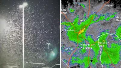 Las Vegas' grasshopper invasion is so big you can see it on weather ...
