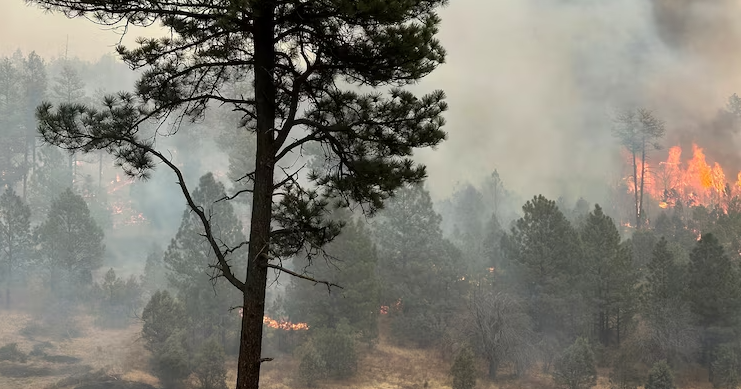 Over 25 million remain under red flag warnings with heightened risk of ...