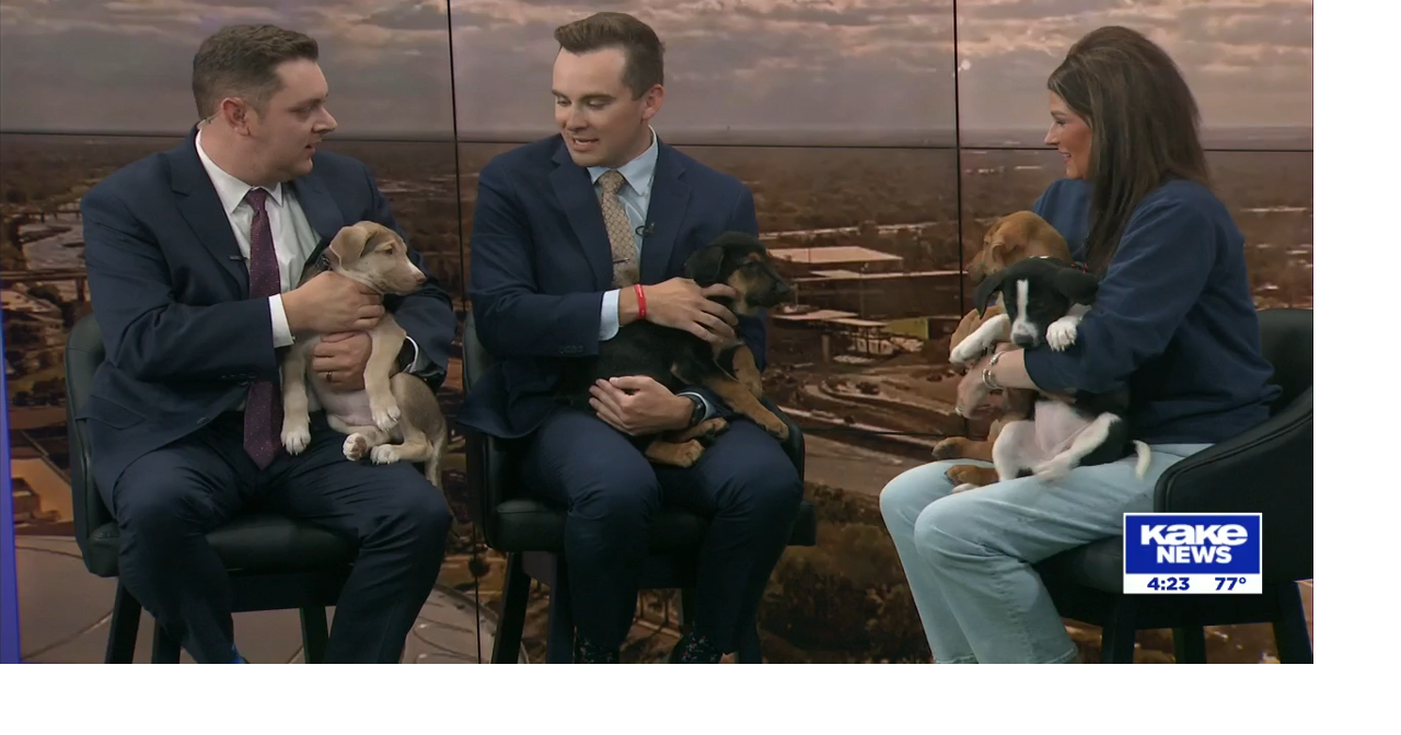 WAAL Pet of the Week: PUPPY-Palooza | KAKE Guests | kake.com