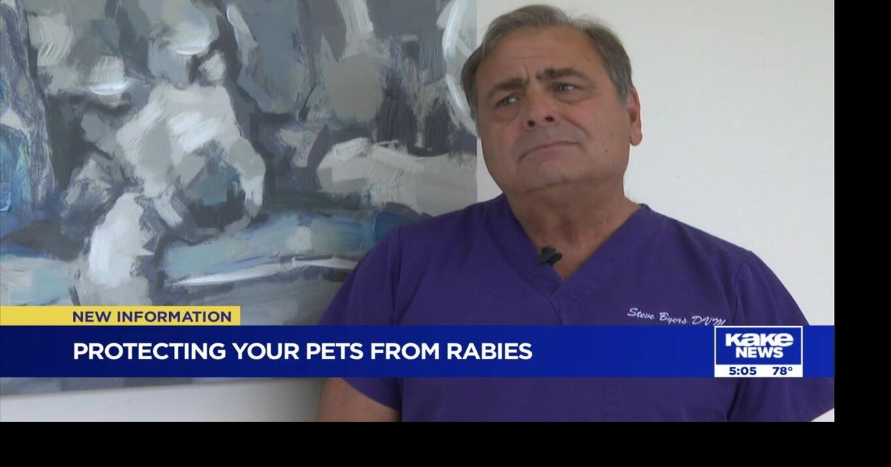 Protecting your pets from rabies