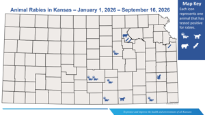 Kansas Health Officials Issue Warning Over Increased Rabies Cases