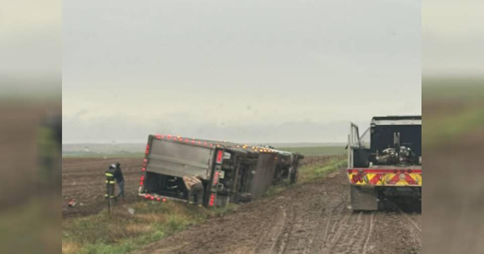 Several cows escape overturned trailer in western Kansas, sheriff’s office says