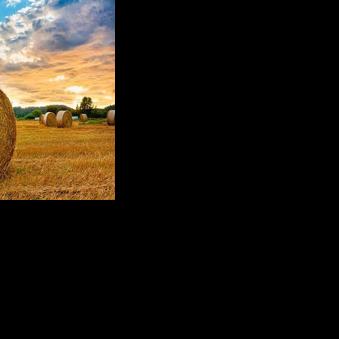Bale of hay falls on 9-year-old girl, suffers serious injuries ...