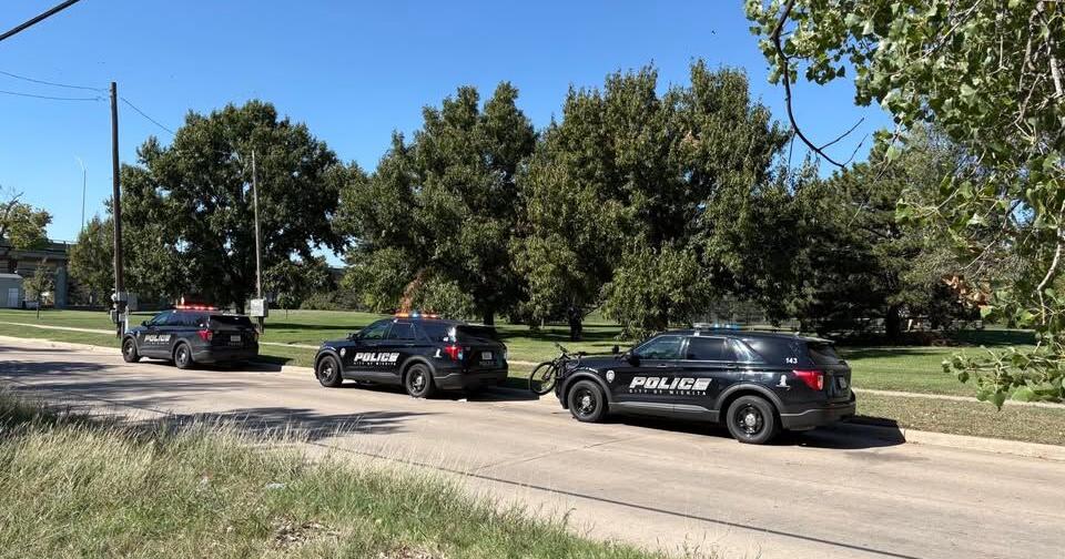 Assault News Image