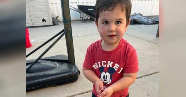 2-year-old found dead in canal after wandering away from football field ...
