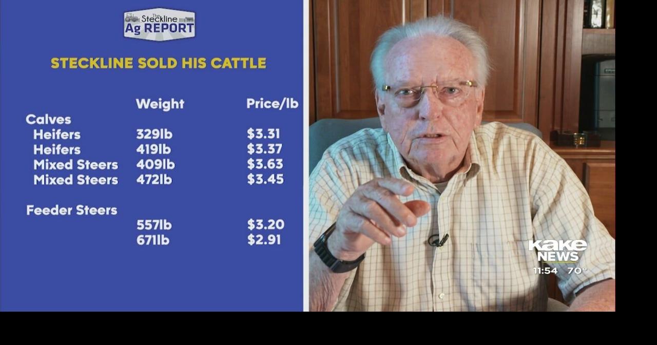 Steckline Ag Report: August 20, 2024 | Video | kake.com->すべての結果