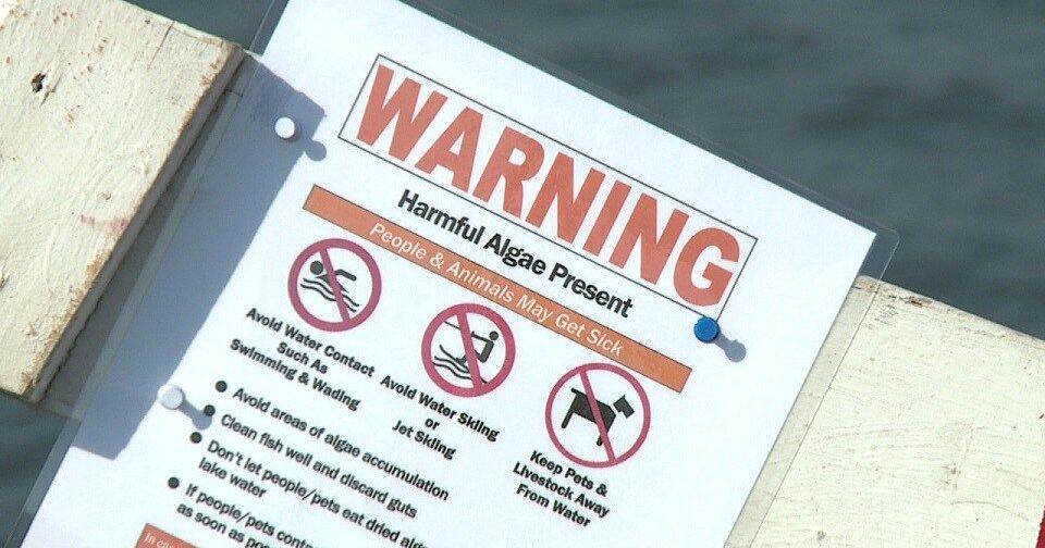 Alert! Blue-Green Algae Warnings & Watches Issued for Kansas Lakes - Stay Safe!