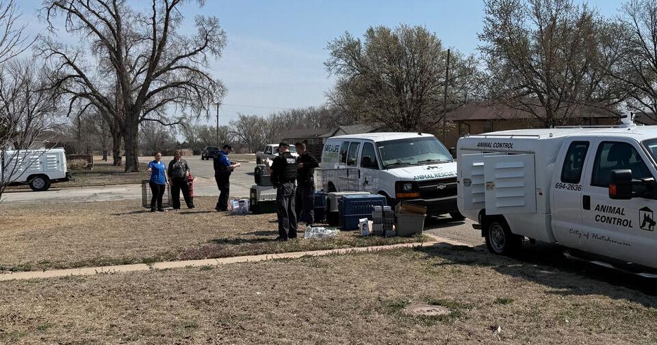 Wichita Kansas Rescue Stolen gun report leads authorities to rescue 54 animals from Kansas ...