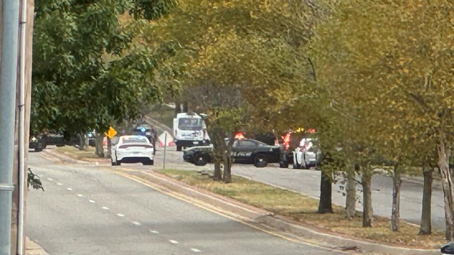Suspect charged with crashing stolen vehicle killing woman in
