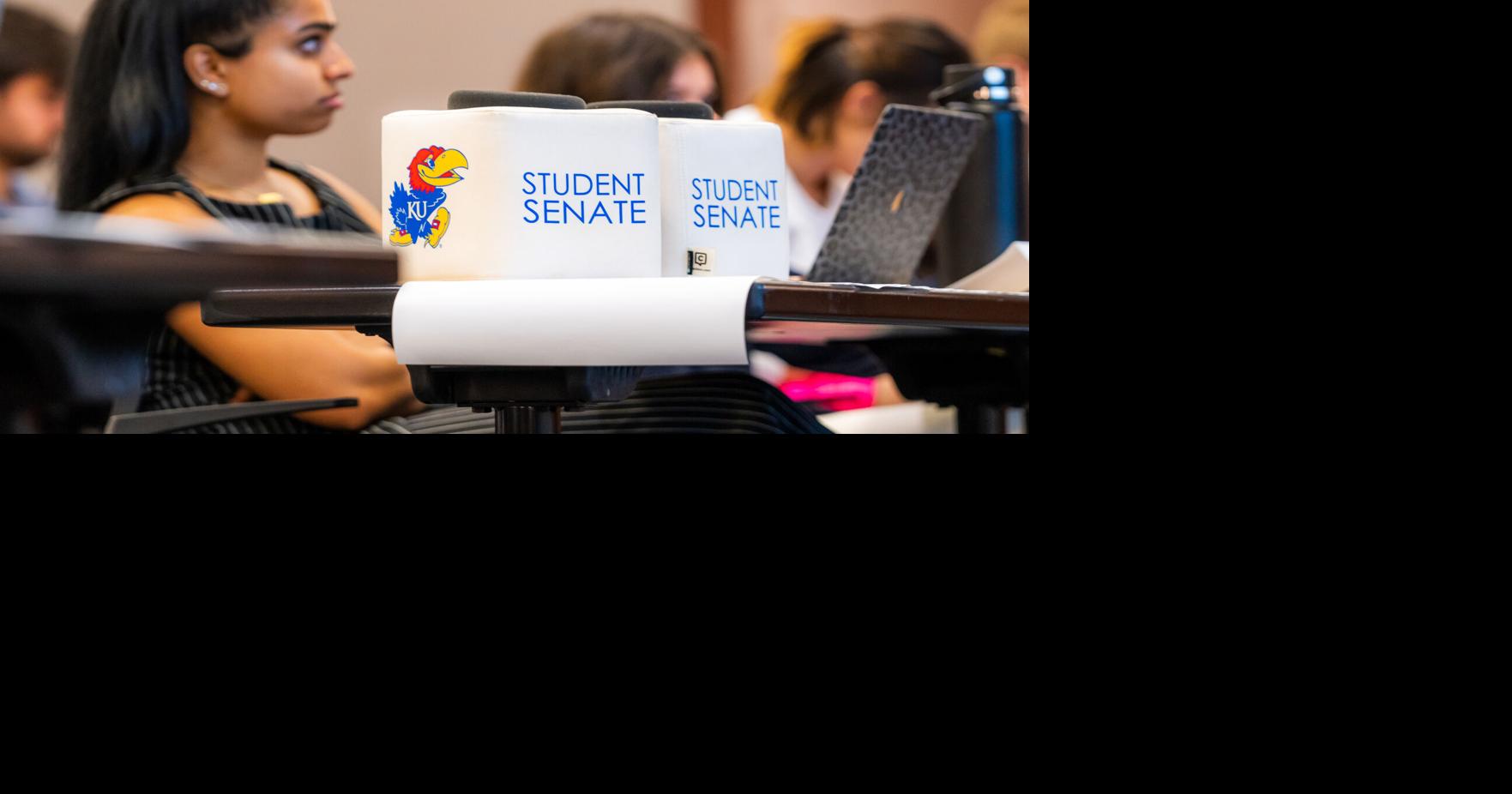 Student body president's claims of misconduct divide fee panel