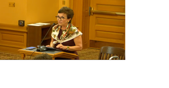 Committee discusses expanding poll worker eligibility to nonresident college students - Vimarsana News