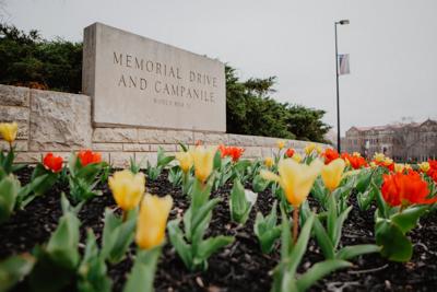 Flowers on Campus-10.jpg