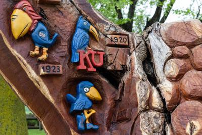 Ku Licensed Chainsaw Artist Carves Viral Jayhawk Tree Stump Arts