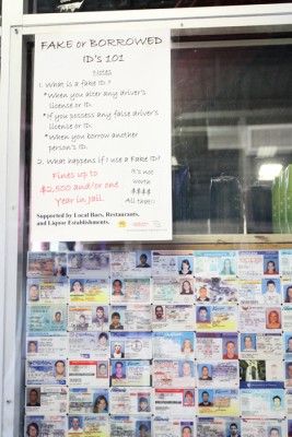 Bullwinkles Fake Id