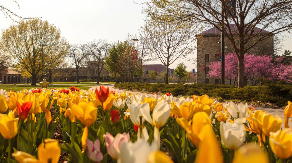 Gallery Ku Spring Blooms Without Students On Campus Amid Coronavirus Closures Multimedia Kansan Com