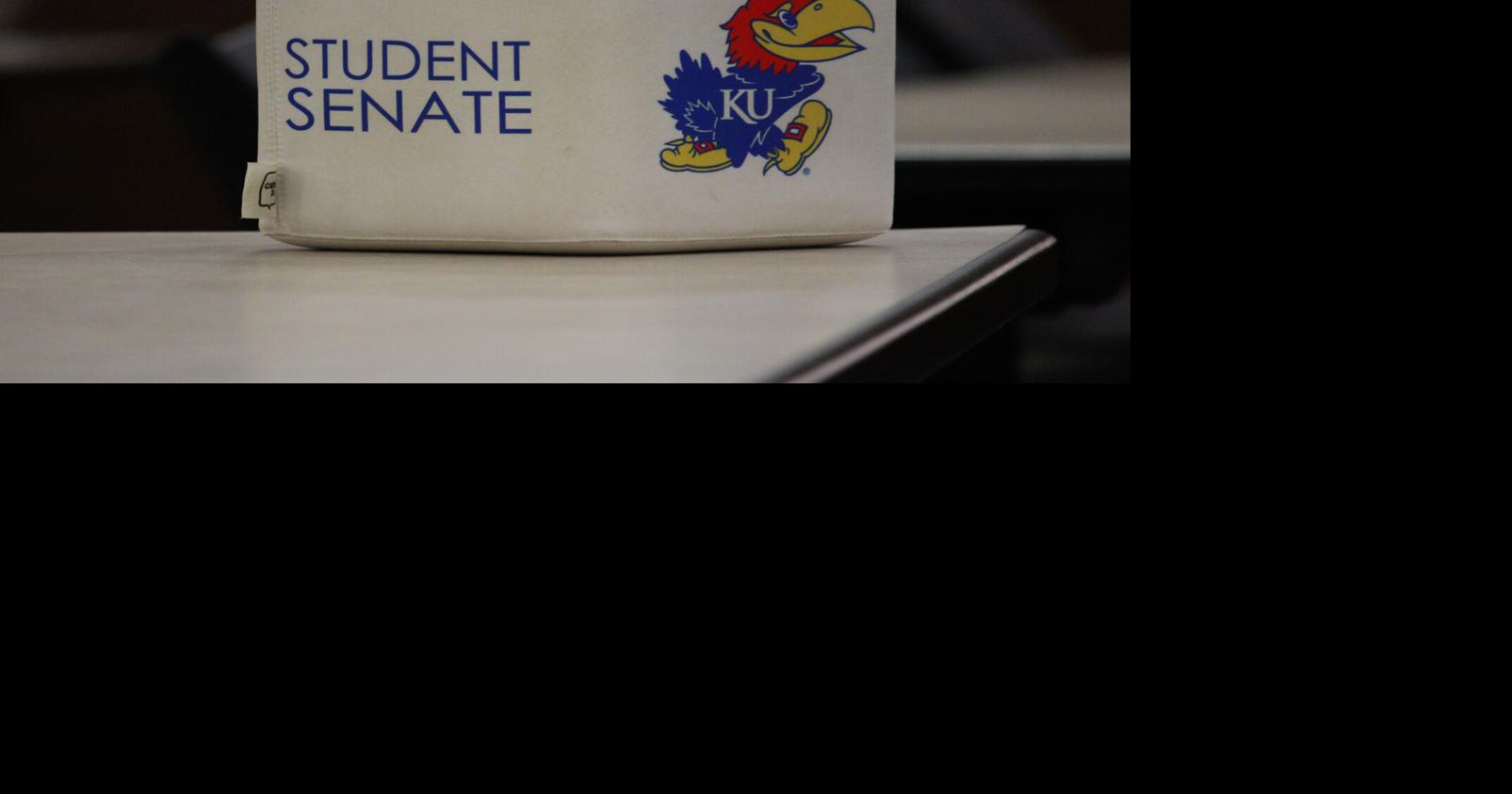 Student fee package fails 4–15 in senate finance council