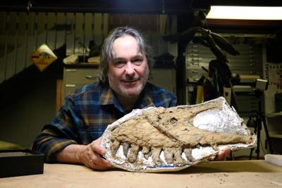 Investigadores de KU trabajan para determinar nuevas especies potenciales de dinosaurios | Noticias | kansan.com