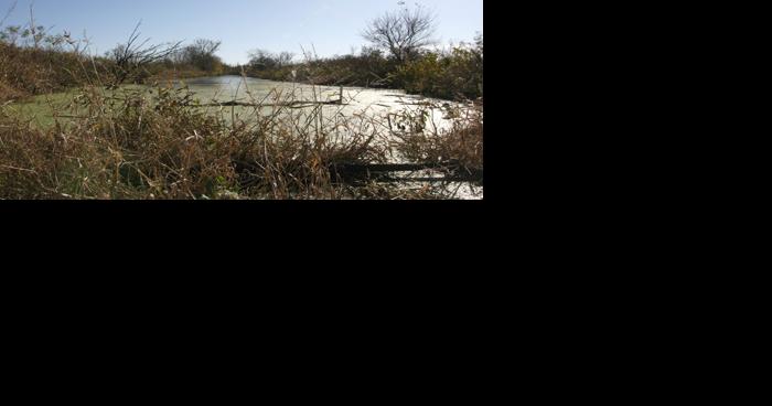 Burn ban in place after multiple Douglas County grass fires - Vimarsana News
