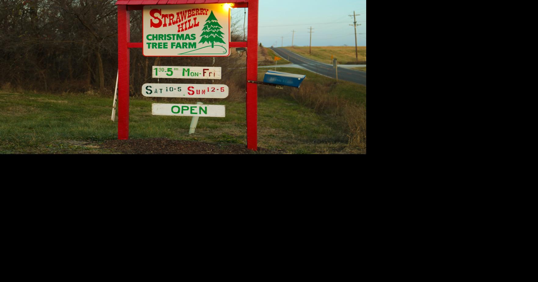 Even after 33 years, local Christmas tree farm expects record year ...