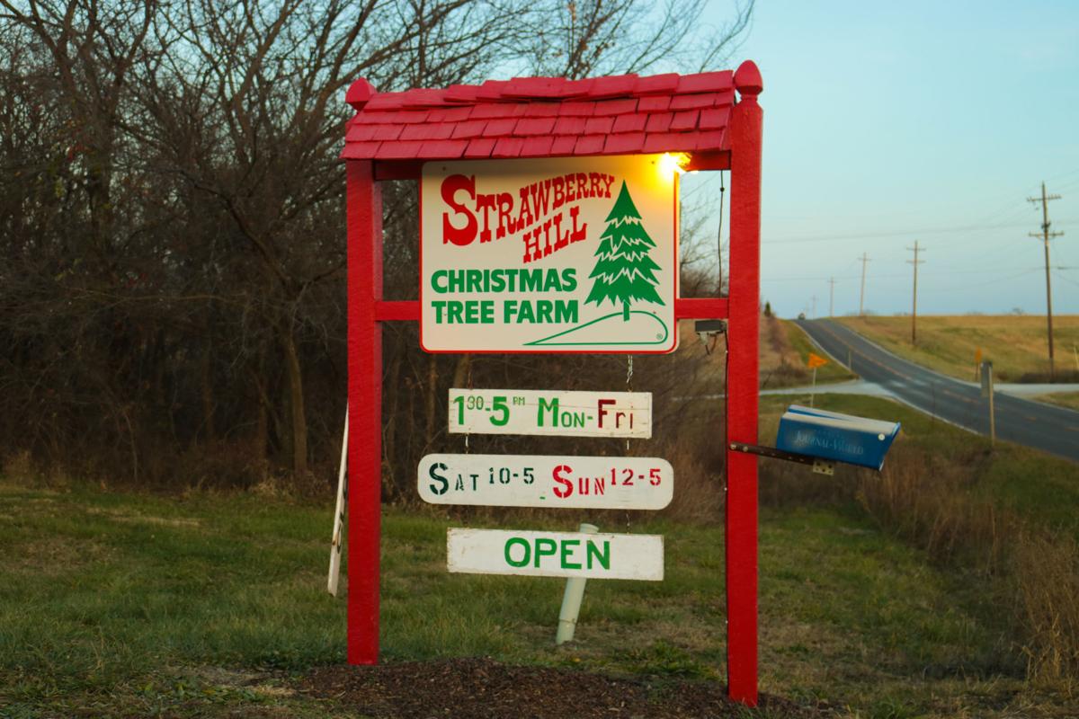 even after 33 years local christmas tree farm expects even after 33 years local christmas tree farm expects